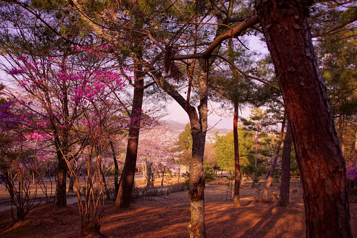 Bijuu Residence Hotel Kyoto by null