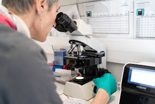 Photo n°6 de Clinique Vétérinaire Belzunce à Mauléon-Licharre (Clinique vétérinaire)