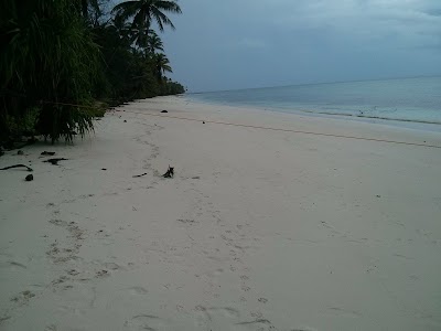 Photos of Arno Atoll