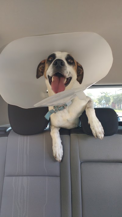 Photos of Veterinaria Felipe
