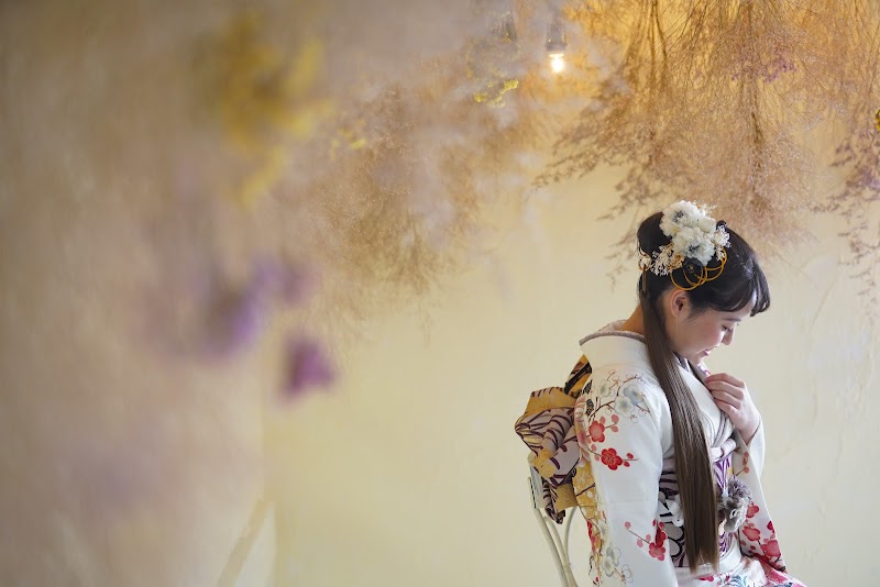 写真のミツタ 豊岡店