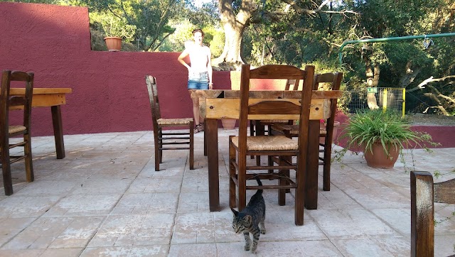 Elia Taverna