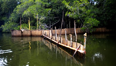 Photos of Look Lanka Tours