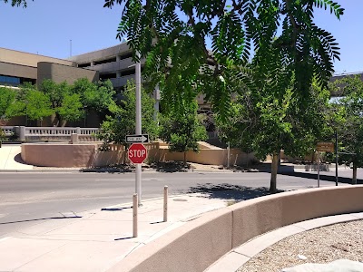 Dr Martin Luther King Jr Streetscape