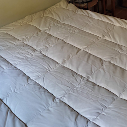 Photo n°24 de Les Sauges Bergères à Herbeys (Ferme d'élevage)