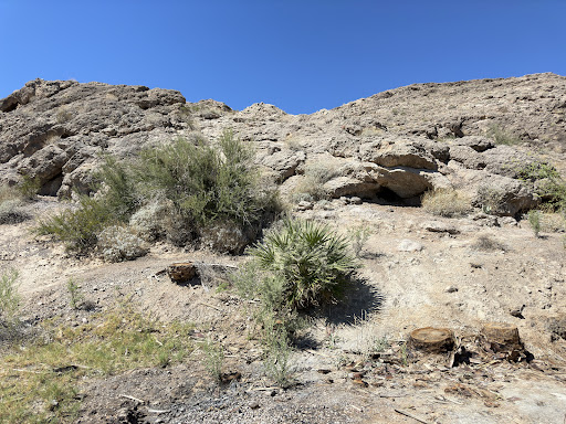 Rogers Spring - Visual