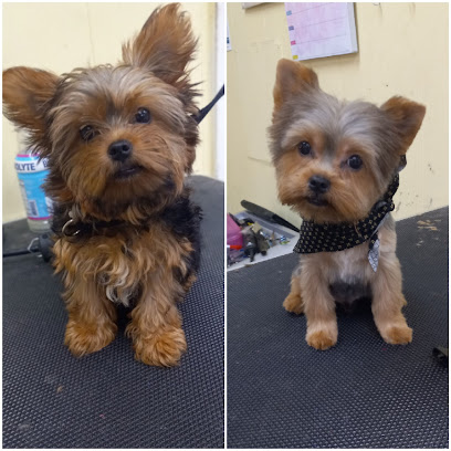 Bon Bonz Unique Stylez LLC