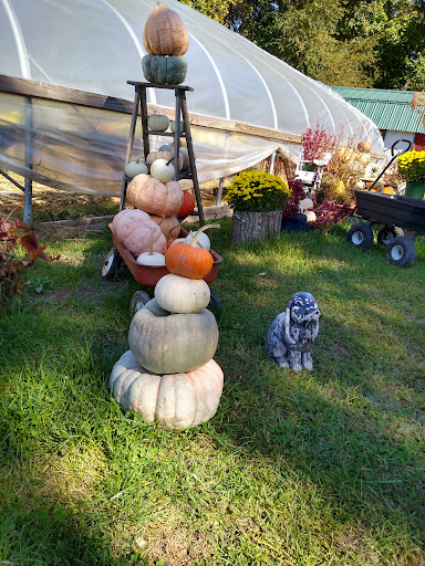 Sandcreek Garden Farm Gallery - United States