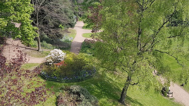 Place around image