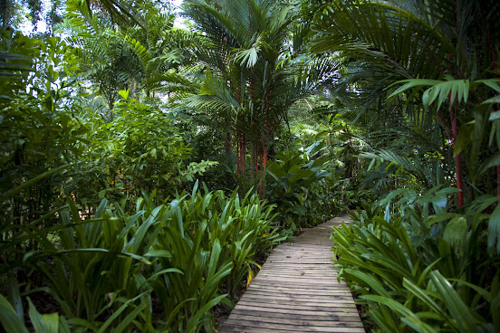 Le Cameleon Hotel Puerto Viejo by null