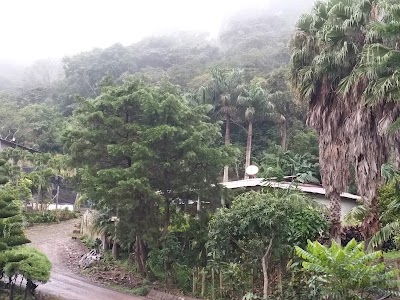 Photos of La Estrlla