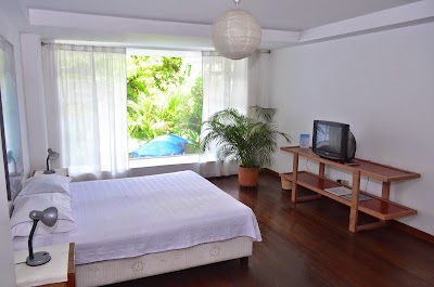 Photos of Jardin Azul