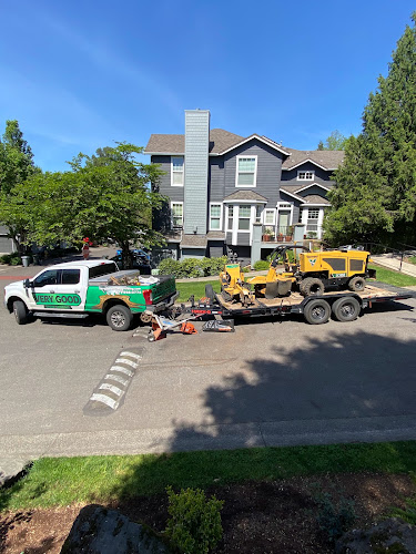 Very Good Stump Grinding & Tree Removal