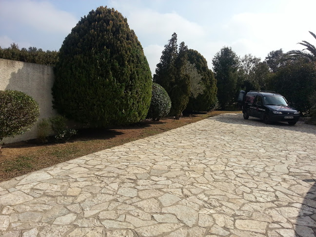 Opinii despre Un Jardin dans la Ville în Perpignan - Paysagiste