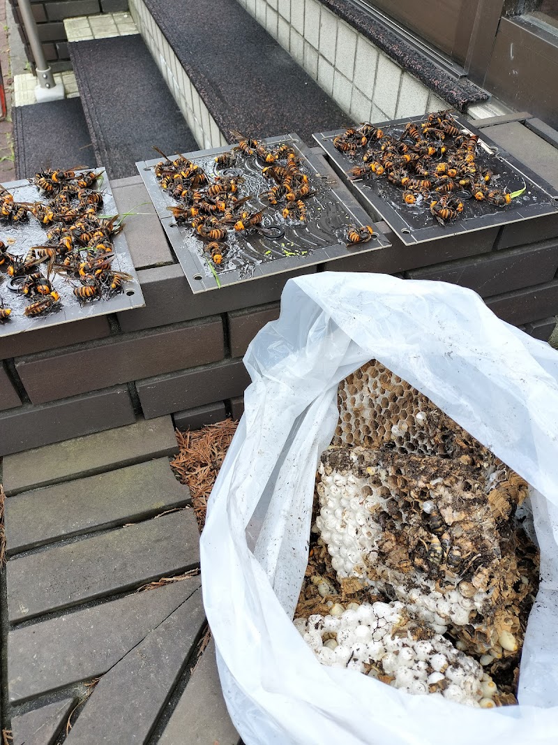 ✨南区の蜂駆除屋さん✨阿部企画