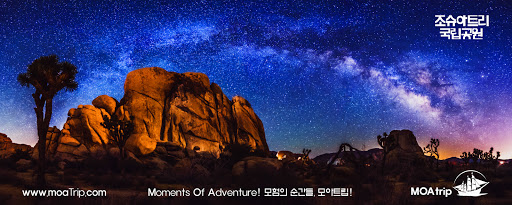 모아트립 - Thumbnail