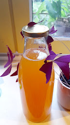 Photo n°8 de LIORZH AN DRO-HEOL à Quemper-Guézennec (Ferme bio)