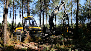 Photo n°3 de Groupe Forestier Lejeune à Campagne (Société de transport routier)