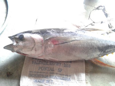 Photos of S S D Fish Pvc. Ltt.