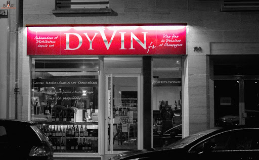 Dyvin - Visual