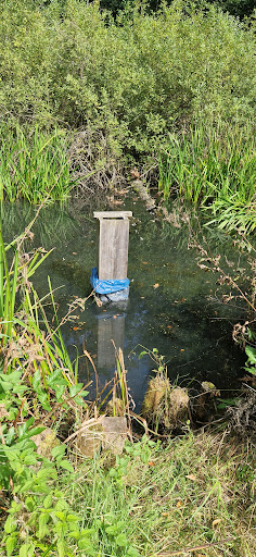 Wanderweg am Neuteichwasser - Thumbnail