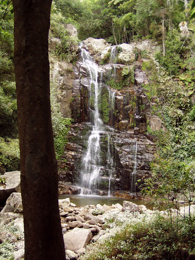 Minnamurra Office - NSW National Parks and Wildlife Service - Thumbnail