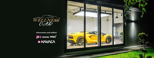 Wellness Car Auto Detailing - Arkadiusz Danielak