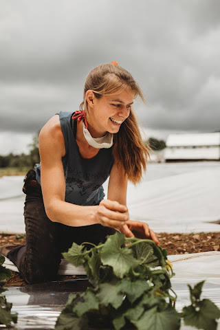 Moon Valley Farm by null