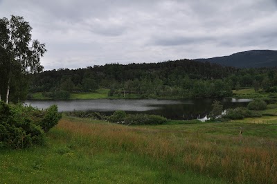 Photos of Nestunet