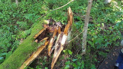 Kuuraniidu õpperada