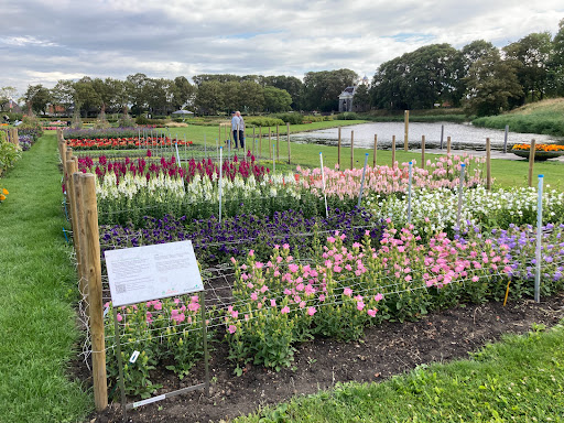 De Garden - Thumbnail