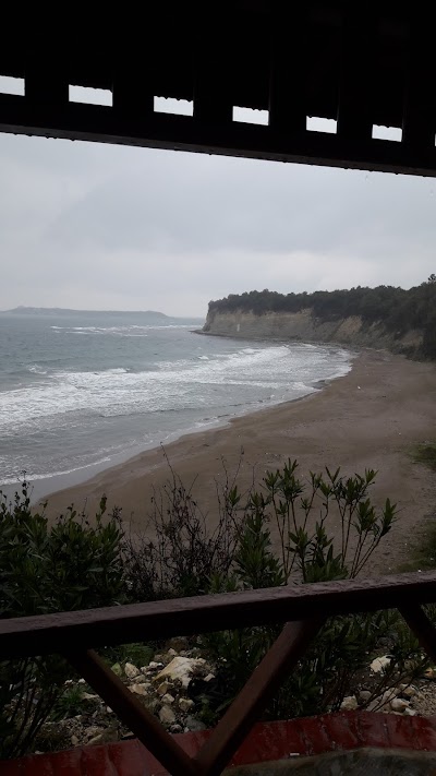Photos of HANY Beach & Longue