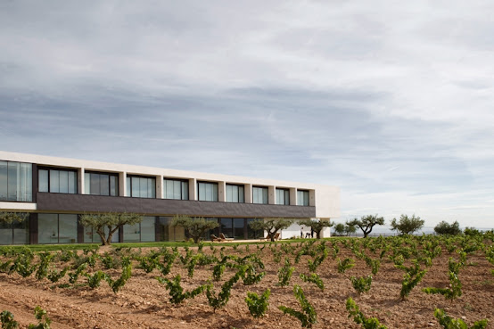 Finca de los Arandinos Bodega | Hotel by null