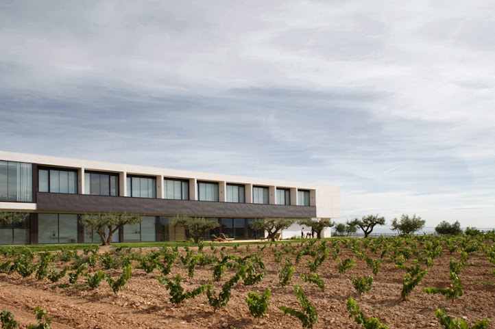 Finca de los Arandinos Bodega | Hotel by null