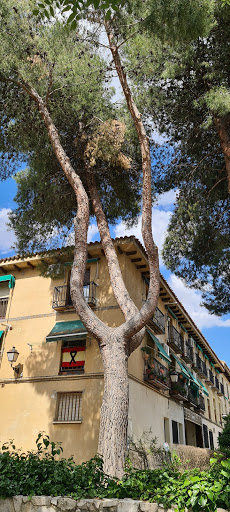 Aparcamiento San Roque - Thumbnail