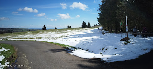 Heidelstein - Visual