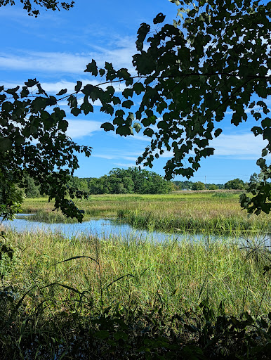 Merrill S Whipple Conservation Area Gallery - United States