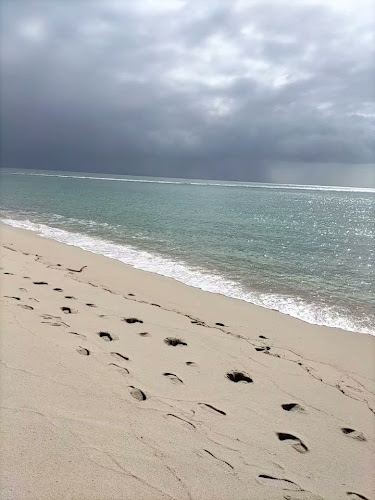 Praia da Figueirinha Número de telefone