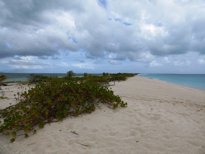 Photos of Low Bay