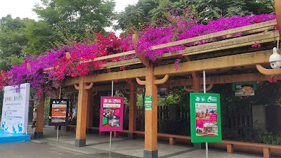 Photos of Chengdu Zoo