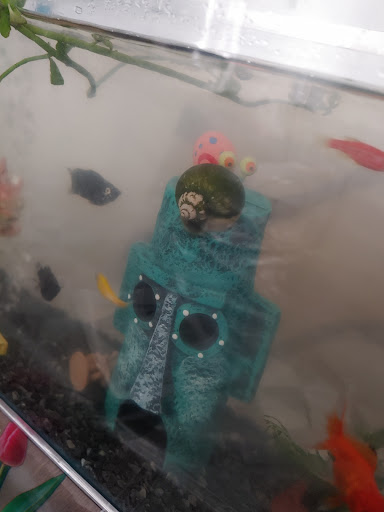 Acuario Caleb - Thumbnail