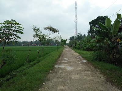 Photos of Dusun Sidasari