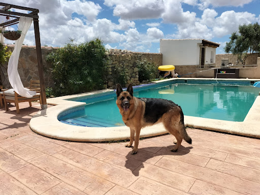 Hotel para perros AMIGOMIO