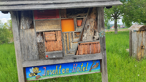 Wildobst-Lehrpfad - Thumbnail
