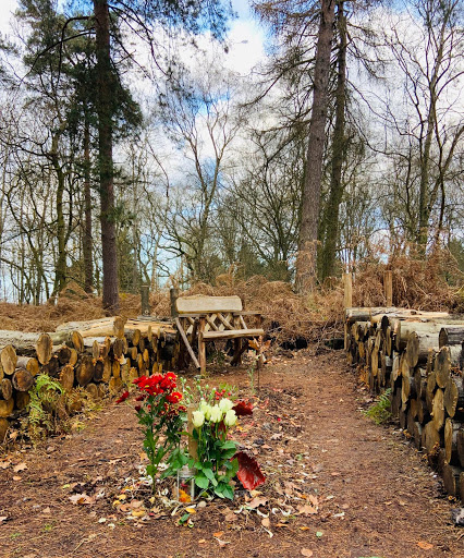GreenAcres Epping Forest - Visual