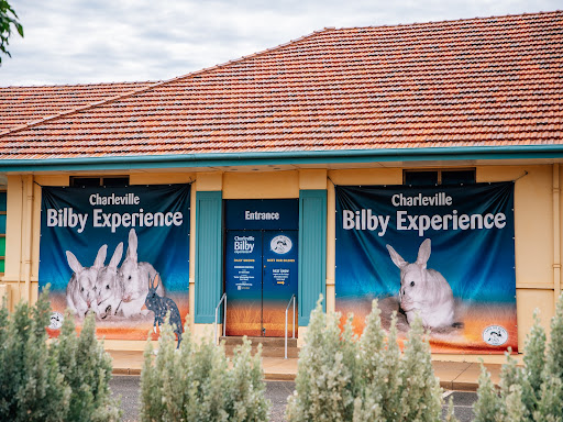Save The Bilby Fund - Thumbnail