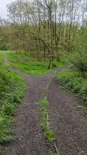 Foxhill Bank Nature Reserve - Thumbnail