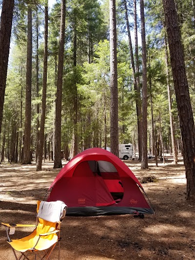 Hayward Flat Campground