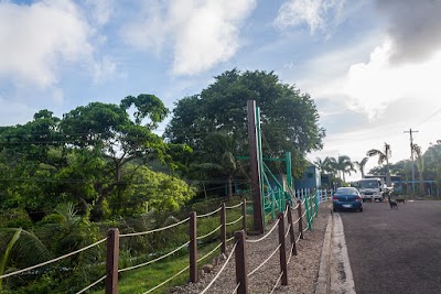 Photos of Antigua Rain Forest Canopy Tour