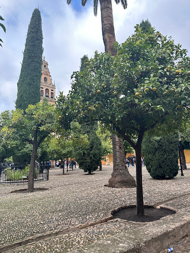 Cordoba Mosque Parking - Thumbnail